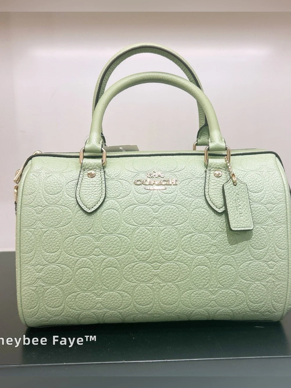 NWT Coach Rowan Satchel Bag In Signature Leather CEW03 Gold/Pistachio